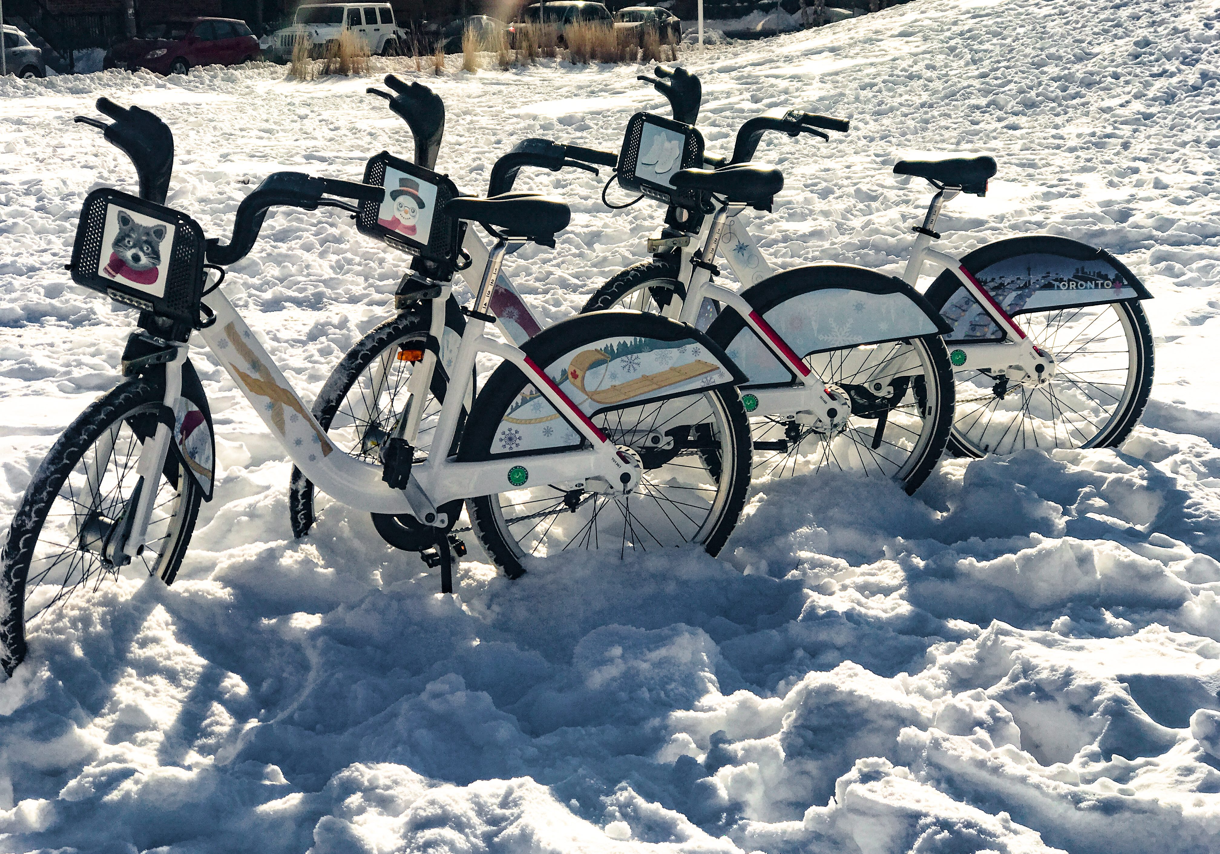 bike share toronto winter riding